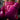 Person wearing pink boxing gloves and shorts in a blurred indoor setting